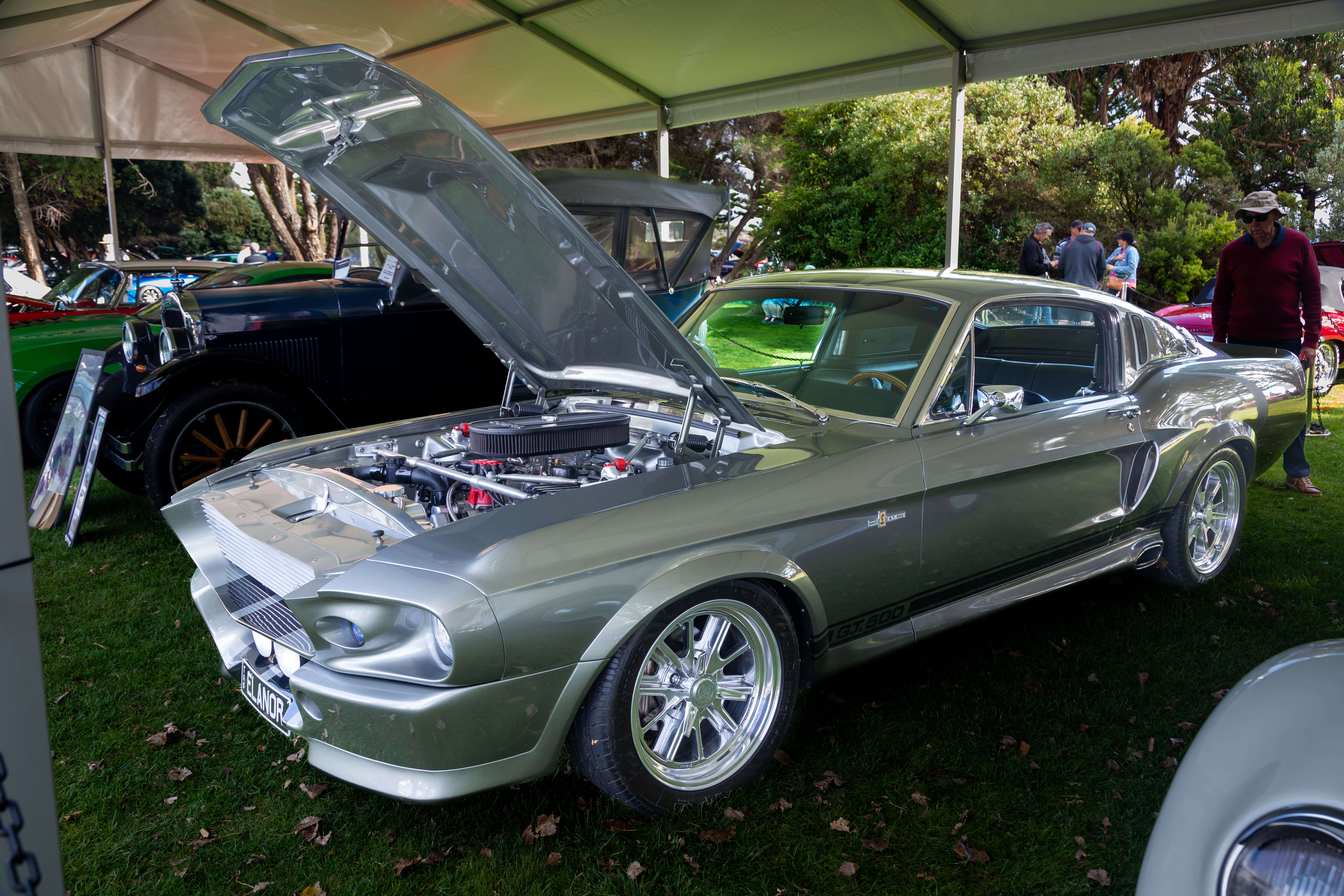 Kuys Elanor Mustang Top Ten-7687
