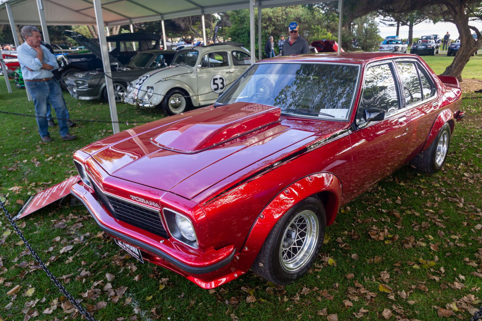 Linger Torana Top 10-7706